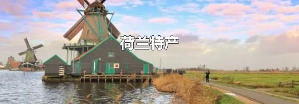 荷兰特产