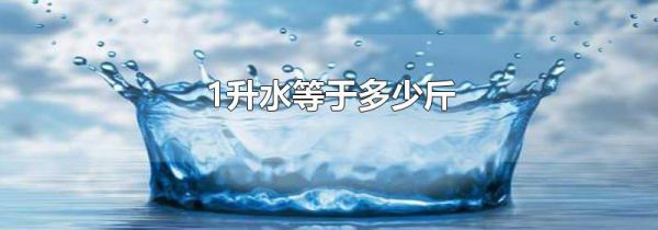 1升水等于多少斤