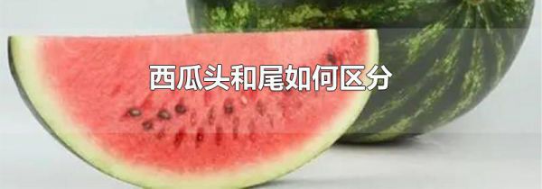 西瓜头和尾如何区分