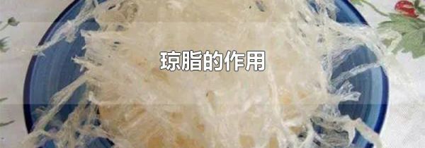 琼脂的作用