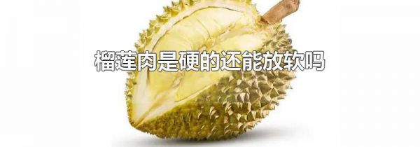 榴莲肉是硬的还能放软吗