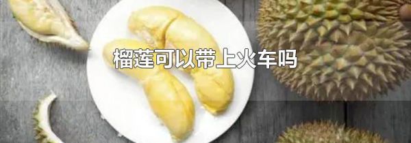 榴莲可以带上火车吗