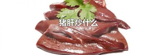 猪肝炒什么