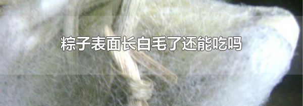 粽子表面长白毛了还能吃吗