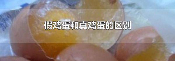 假鸡蛋和真鸡蛋的区别