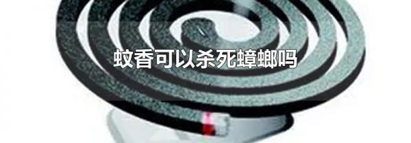 蚊香可以杀死蟑螂吗