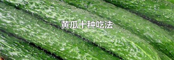 黄瓜十种吃法