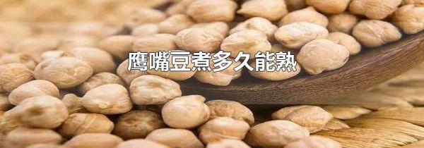 鹰嘴豆煮多久能熟