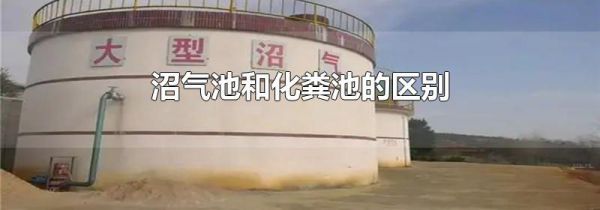 沼气池和化粪池的区别