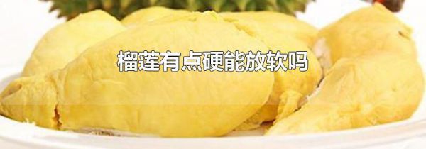榴莲有点硬能放软吗