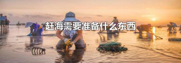 赶海需要准备什么东西