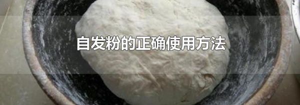 自发粉的正确使用方法