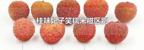 桂味妃子笑糯米糍区别