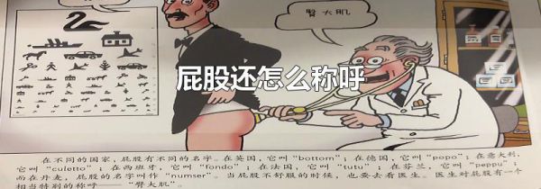 屁股还怎么称呼