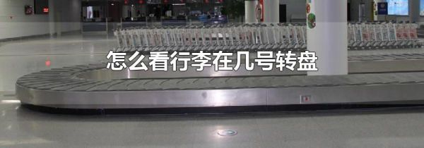 怎么看行李在几号转盘