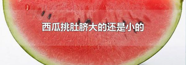 西瓜挑肚脐大的还是小的
