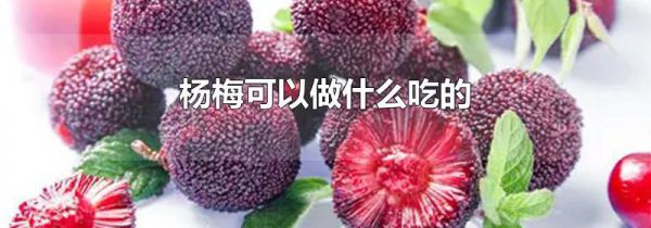 杨梅可以做什么吃的