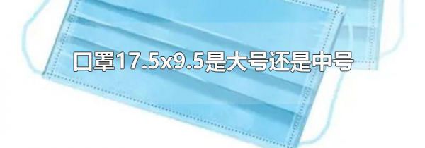 口罩17.5x9.5是大号还是中号