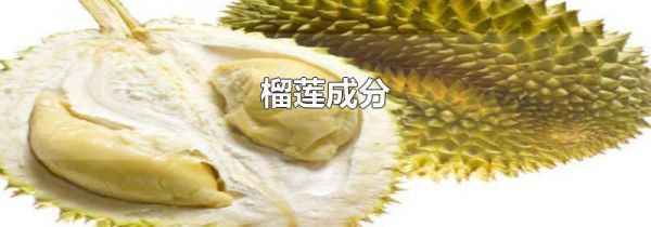 榴莲成分