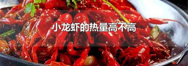 小龙虾的热量高不高