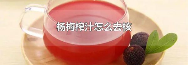 杨梅榨汁怎么去核
