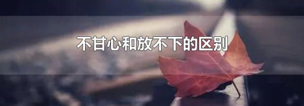 不甘心和放不下的区别