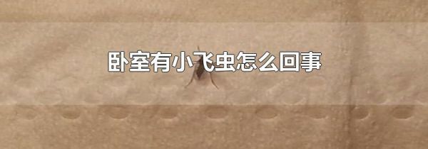 卧室有小飞虫怎么回事