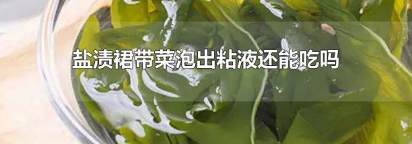 盐渍裙带菜泡出粘液还能吃吗