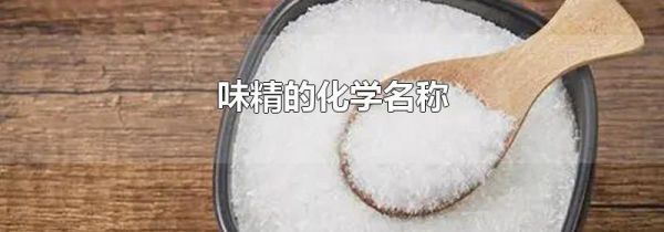 味精的化学名称