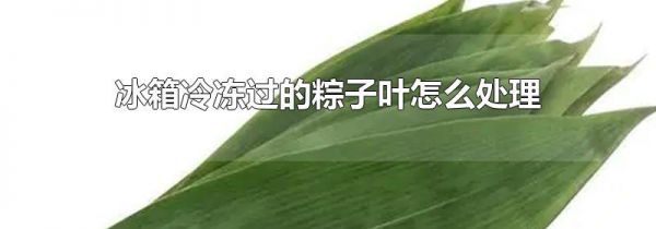 冰箱冷冻过的粽子叶怎么处理
