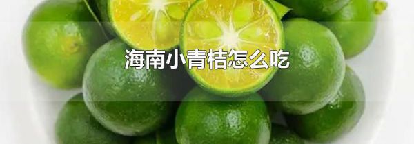 海南小青桔怎么吃