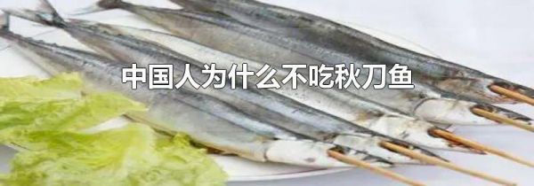 中国人为什么不吃秋刀鱼