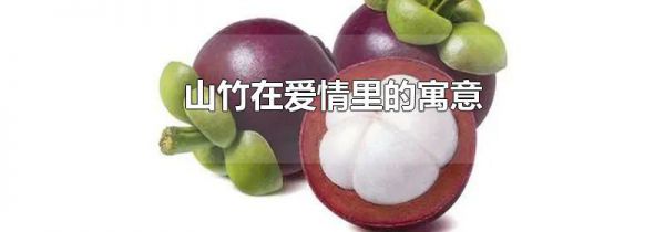 山竹在爱情里的寓意