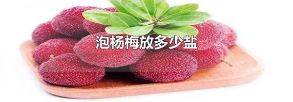 泡杨梅放多少盐