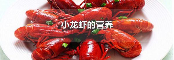 小龙虾的营养