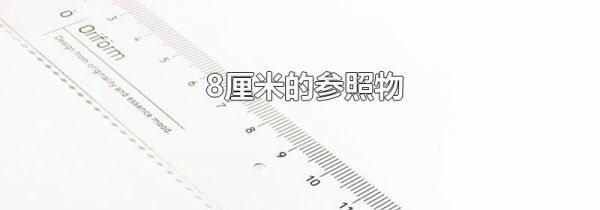 8厘米的参照物