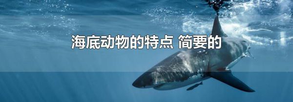 海底动物的特点 简要的