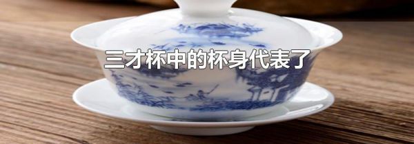 三才杯中的杯身代表了