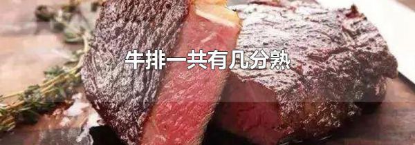 牛排一共有几分熟