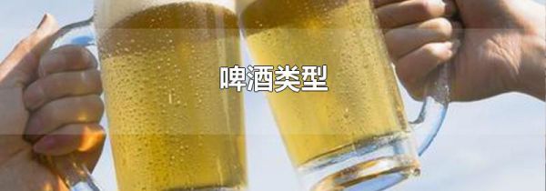 啤酒类型