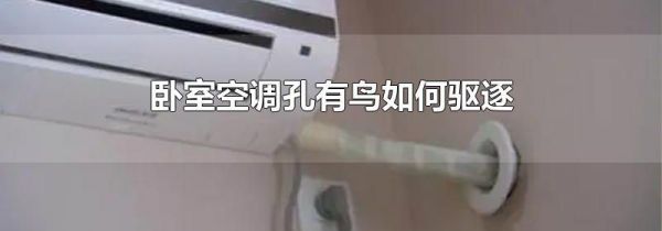 卧室空调孔有鸟如何驱逐