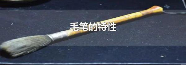 毛笔的特性