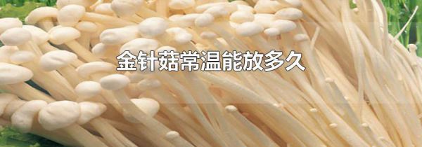 金针菇常温能放多久