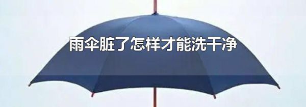 雨伞脏了怎样才能洗干净