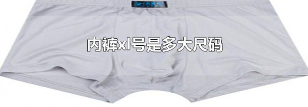 内裤xl号是多大尺码