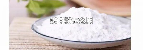 嫩肉粉怎么用