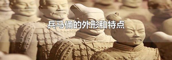 兵马俑的外形和特点
