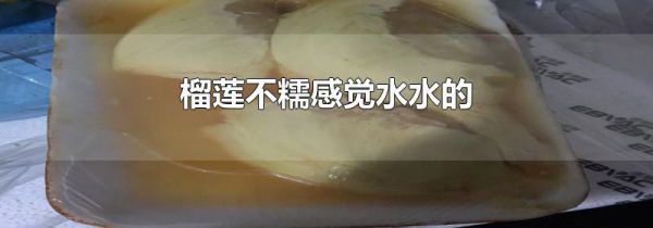 榴莲不糯感觉水水的