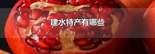 建水特产有哪些