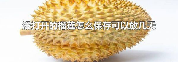 没打开的榴莲怎么保存可以放几天
